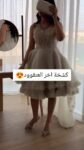 WhatsApp Video 2024-11-03 at 5.39.09 AM_000010